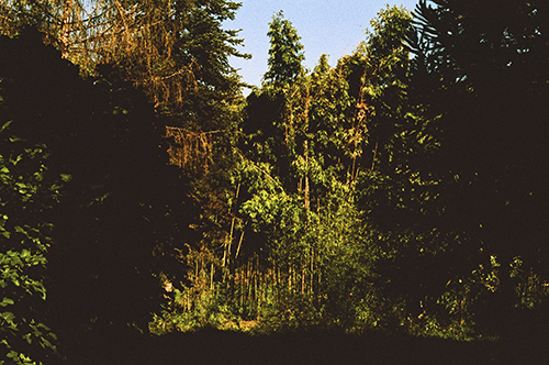 photographie | bons-baisers | &copy; patrice de Santa Coloma